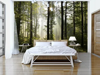 Produktbild von Vlies Fototapete Wald 400x280 cm Tapeten Wandtapete XXL Landschaft Natur Wald Bäume c-B-0254-a-a