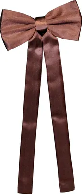 Produktbild von Stars & Stripes Western Old Style Schleifenkrawatte schwarz Westernschleife Tie Krawatte Fliege Westernfliege Schleife Westerntie braun