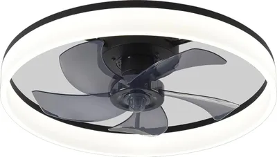 Produktbild von Deckenventilator, LED-Beleuchtung, Fernbedienung, schwarz
