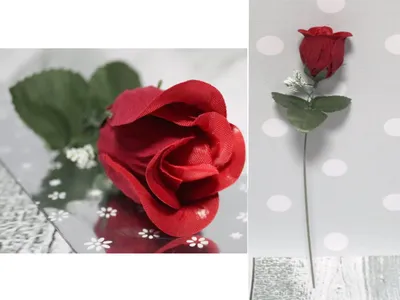 Produktbild von Valentinstagsrose im Folienkegel 35 cm - 20 Stück VAB-18093