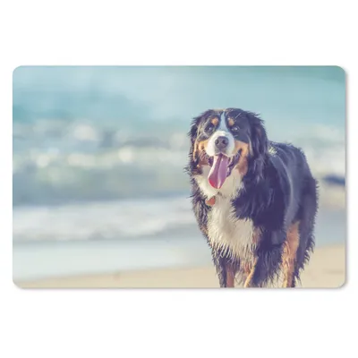 Produktbild von MuchoWow® Schreibtischunterlage Ein Berner Sennenhund beim Spaziergang am Strand 60x40 cm - XXL Mauspad - Großes Mauspad