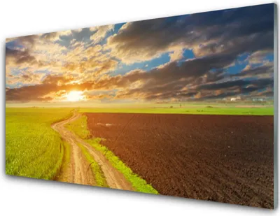 Produktbild von Acrylglasbilder 100x50 Wandbild Druck Acker Fußpfad Landschaft