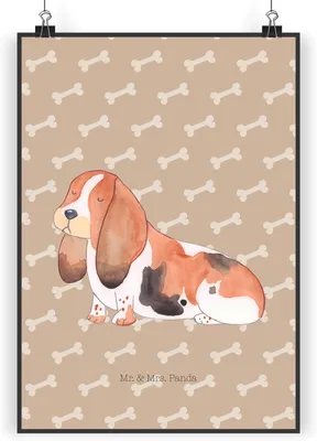 Produktbild von Mr. & Mrs. Panda Bild Hund Basset Hound DIN A3 - Hundeglück - Geschenk, drucke, Hundeliebe, Süß, Wandbild, wanddeko, Sprüche, Plakat, Kunstdruck
