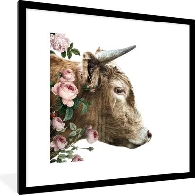 Produktbild von MuchoWow® MuchoWow® Gerahmtes Poster Schottisches Hochlandrind - Schottische Kuh - Blumen 40x40 cm - Poster mit zchwarzem Bilderrahmen - Poster - Plakat im Rahmen