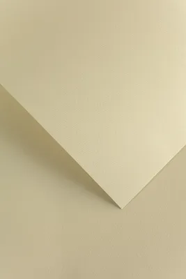 Image de Galeria Papieru papier décoratif Florida beige 250g, 20pcs