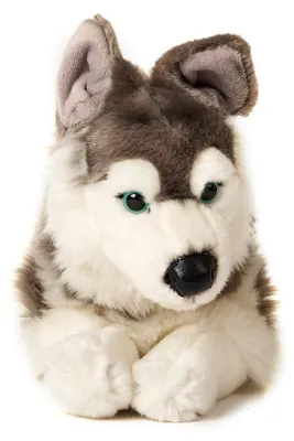 Produktbild von Uni-Toys - Husky, liegend - 40 cm (Länge) - Plüsch-Hund, Haustier - Plüschtier, Kuscheltier