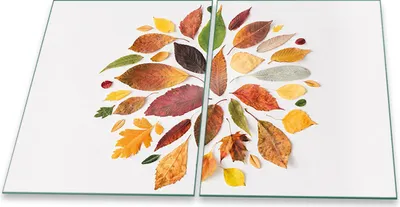 Produktbild von Herdabdeckplatten Glaskeramik Spritzschutz Glas Universal 2-Teilig 2x40x52 Natur Bunt