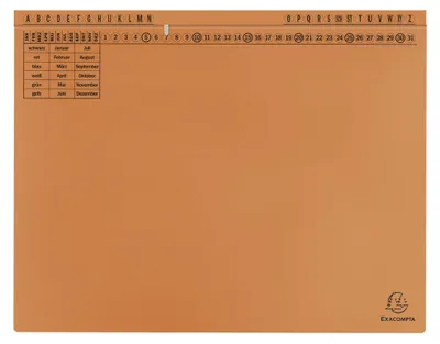 Produktbild von Exacompta 371109B 25x Hängehefter Exaflex Karton orange