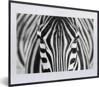 Produktbild von MuchoWow® Gerahmtes Poster Zebra - Tiere - Schwarz und weiß - Porträt 60x40 cm - Poster mit Schwarzem Bilderrahmen Wandposter Rahmen Foto Bilder - Schlafzimmer - Plakat in Rahmen - Drucken