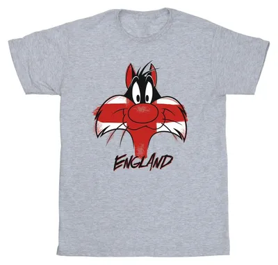 Image de Looney Tunes - T-shirt pour homme BI36172 (S) (gris)