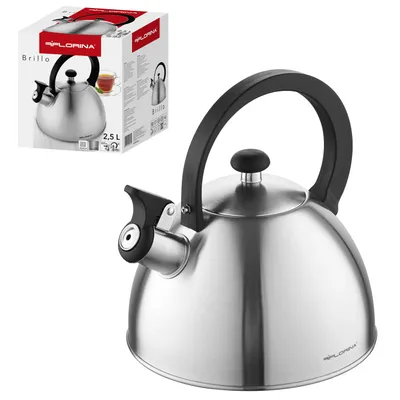 Immagine prodotto di Bollitore a induzione Bollitore a flauto in acciaio inossidabile Bollitore da tè argento 2,5 l