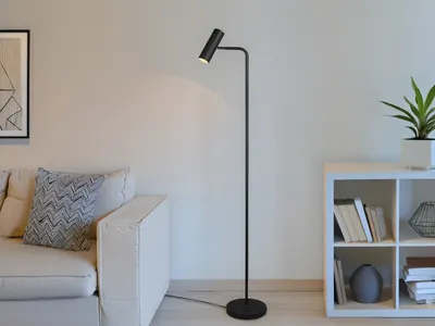 A modern living room with a sofa, floor lamp, and bookshelf.