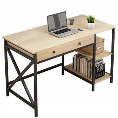 A computer desk with a laptop, books, and a plant on a white background.