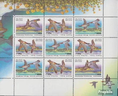 Produktbild von Briefmarken Russland 1995 Mi 462-464 Kleinbogen (kompl.Ausg.) postfrisch Enten