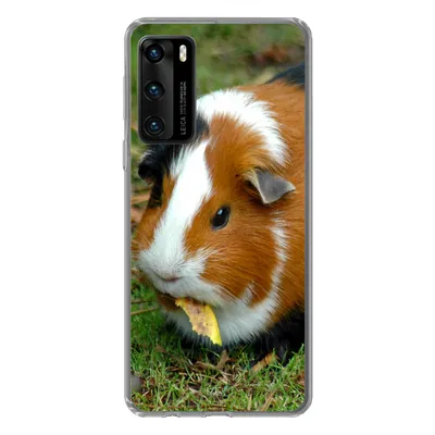 Produktbild von MuchoWow® Handyhülle Schutzhülle Hülle für Huawei P40 Meerschweinchen draußen Silikon Softcase Handy Hülle - Handytasche
