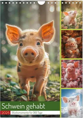 Produktbild von Schwein gehabt (Wandkalender 2025 DIN A4 hoch), CALVENDO Monatskalender