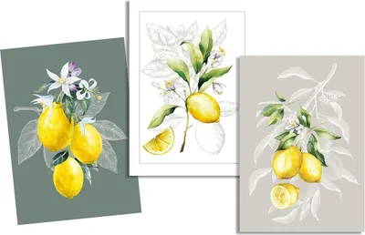 Image de Lot de 3 Torchons Citron