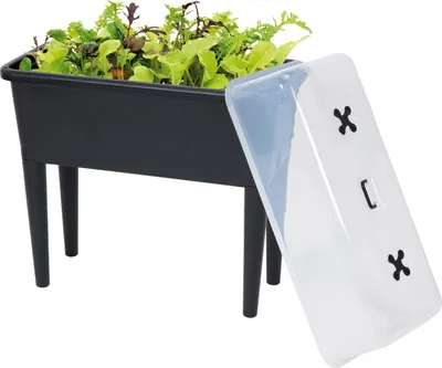 Produktbild von Kweektafel Auf Beinen XXL - Anzuchtkasten - Rechteckig - 76 x 37 x 85 cm - 70L - Außen Innen - Deckel - Schwarz