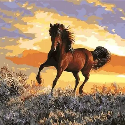 Productafbeelding van Schilderen op nummer: Paard bij zonsondergang, 40x50 cm, met lijst. Creatief