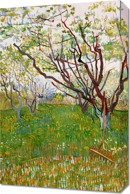 Image de Tableau 40 x 60 cm Le verger en fleurs, Van Gogh Vintage