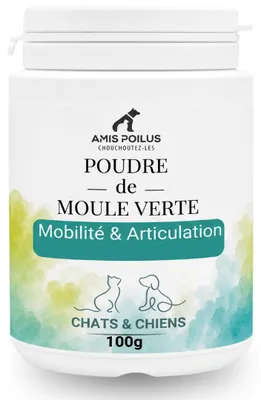 Grünes Muschelpulver 100 g – Gelenkunterstützung für Hunde & Katzen