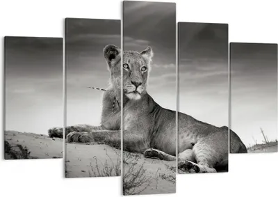 Produktbild von Bild auf Leinwand - Leinwandbild - Tierwelt weiblich katze Tier - 150x100cm - Wand Bild - Wanddeko - Leinwanddruck - Bilder - Kunstdruck - Wanddekoration - Leinwand bilder - Wandkunst - EA150x100-3165