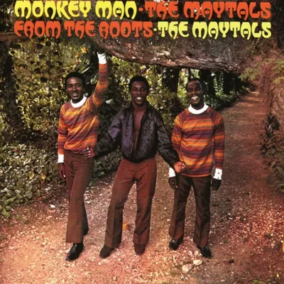 Immagine prodotto di Cherry Red Records The Maytals: Monkey Man / From The Roots, 2 On 1 Expanded Edition, Reggae, The Maytals, Fyzické médium, Dospělý