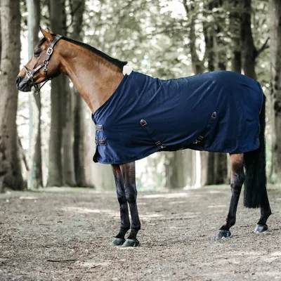 Produktbild von Kentucky Horsewear Abschwitzdecke Baumwolle Sheet Turnierdecke Transportdecke Navy 140