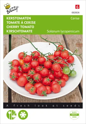Produktbild von Kirschtomate Cerise | Kirschtomatensamen von Buzzy Seeds
