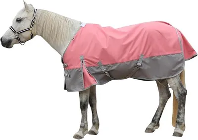 Imagen del producto de Manta resistente al desgarro para caballos, sin forro (0g), ligera, impermeable y transpirable, ideal como manta de lluvia para caballos, color rosa-gris, 165 cm