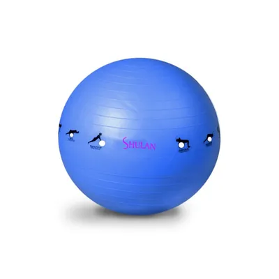 Produktbild von Gymnastikball SHULAN YOGA BALL 65 cm schwarz
