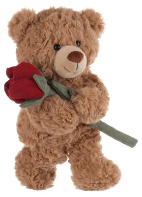 Productafbeelding van Schattige Pluche Beer van 23 cm, Perfect Cadeau