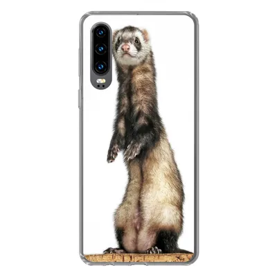 Produktbild von MuchoWow® Handyhülle Schutzhülle Hülle für Huawei P30 Frettchen - Tiere - Fell Silikon Softcase Handy Hülle - Kartenbesitzer