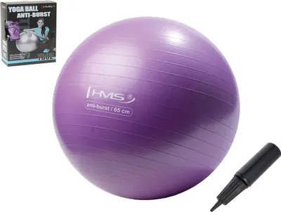 Produktbild von Yb02 65cm Anti-burst Violett Gymnastikball Hms