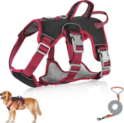 Image de Harnais multifonctionnel anti-traction avec laisse pour chiens de petite et moyenne taille - Imperméable et durable
