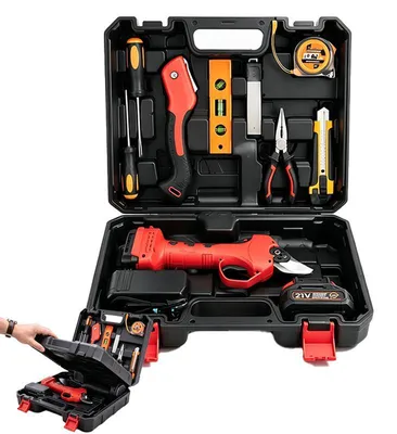 Productafbeelding van ZELURXX 12-delige accu-set voor tuinschaar met inklapbare zaag, 21V, 2,0Ah accu, tuingereedschap, gereedschap voor het snoeien van bomen