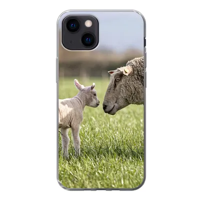 Produktbild von MuchoWow® Handyhülle Schutzhülle Hülle für iPhone 13 mini Schafe - Gras - Lamm Silikon Softcase Handy Hülle - Softcase