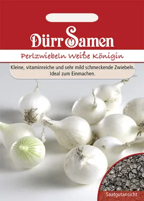 Produktbild von Dürr-Samen - Perlzwiebeln Weiße Königin - Saatgut - 0161