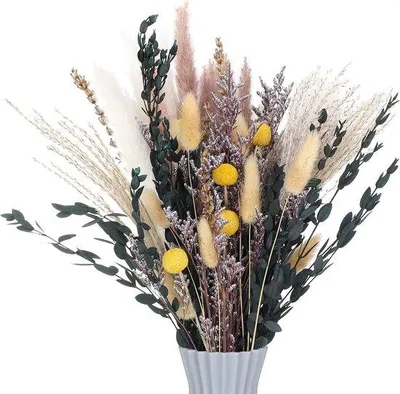 Produktbild von Famanu Dekorationsset mit 60 Trockenblumen - Natürliches Pampasgras