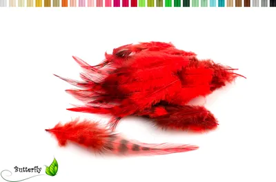 Produktbild von 20 Hahnenfedern CHINCHILLA ca. 8-13cm, Farbauswahl:rot 250