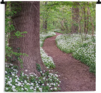 Produktbild von MuchoWow® Wandteppich Wandbehang Wald - Weg - Blumen - Weiß 60x60 cm Tapisserie Dekoration Wandtuch - Dekorationen - Wand Decke