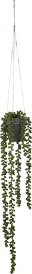 Produktbild von Mica Decorations Senecio hängende Kunstpflanze - H56 x Ø9 cm - Grün