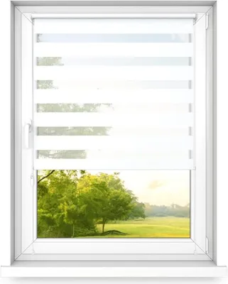 A window with white blinds and a view of a green landscape.