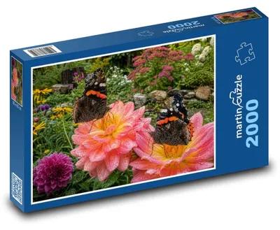 Obrázek produktu pro Puzzle 2000 Babočky na květině - martinpuzzle