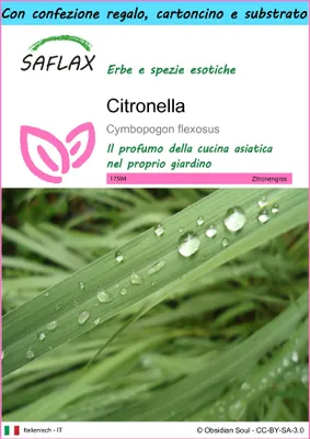 Immagine prodotto di SAFLAX Set regalo - Citronella - 50 semi - Cymbopogon