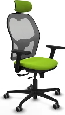 Immagine prodotto di Sedia da ufficio con poggiatesta Jorquera Piqueras y Crespo 3D036G2 Colore Pistacchio
