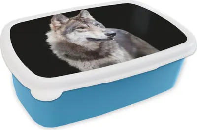 Produktbild von KitchenYeah® Lunchbox Brotzeit Brotdose 17x11 cm Grauer Wildwolf Kinder Brotzeitdose - Lunch - Kunststoff  - Brotbüchse - Sandwichbox - Lunchbox für Kinder