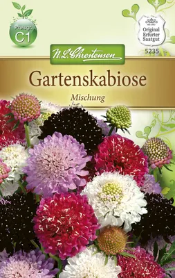 Produktbild von Gartenscabiose Mischung  | Blumensamenmischung von N.L. Chrestensen