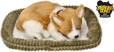 Obrázek produktu pro Prodyšné štěně Corgie Perfect Petzzz