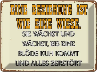 Produktbild von vianmo Blechschild 30x40 cm Eine Beziehung wie Wiese Spruch Zitat